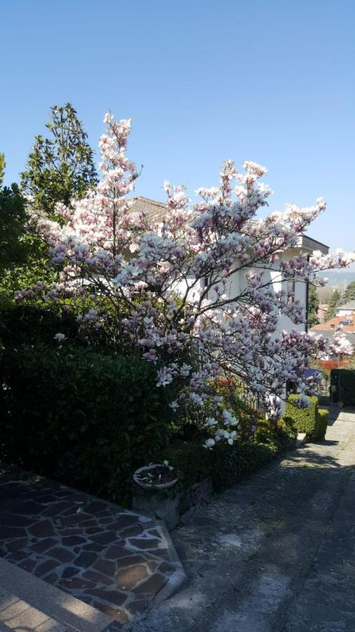 Bed and Breakfast Nel Giardino Di Oz Fornovo di Taro Zewnętrze zdjęcie