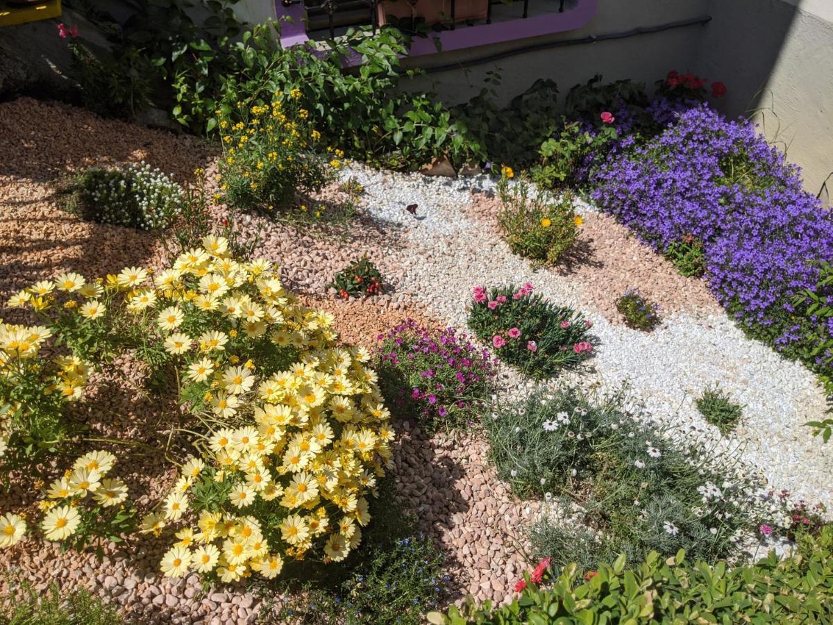 Bed and Breakfast Nel Giardino Di Oz Fornovo di Taro Zewnętrze zdjęcie